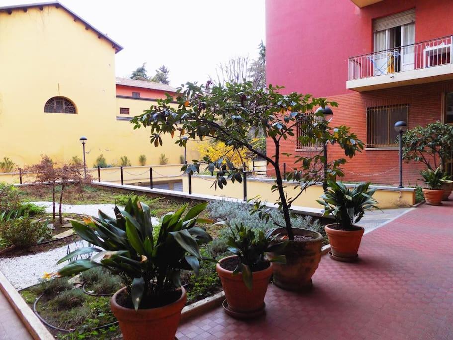 Dreaminbo - Centro Storico, Comfort E Relax Apartamento Bolonia