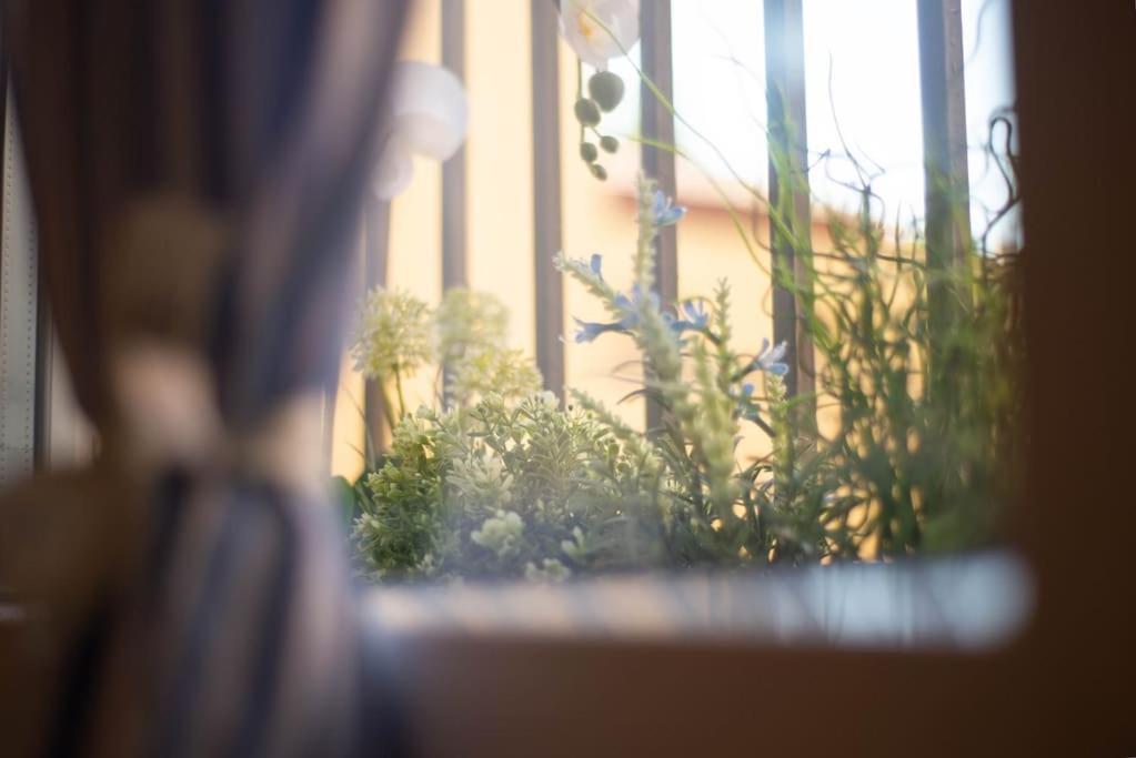 Dreaminbo - Centro Storico, Comfort E Relax * Bolonia